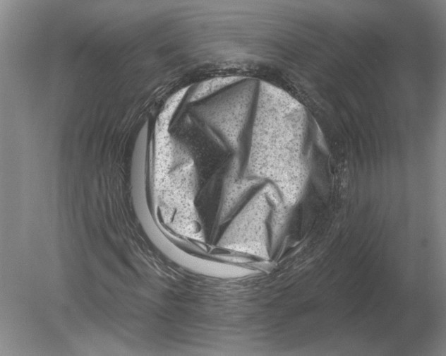 X0000080200916200612302334