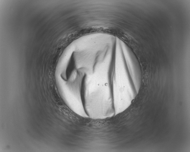 X0000080200917200612302334