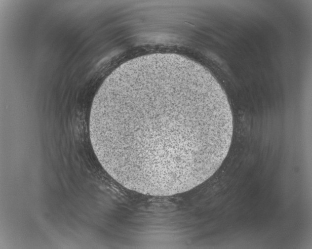 X0000080200918200612302334