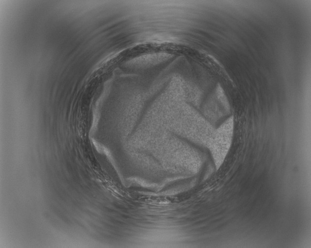 X0000080200919200612302334