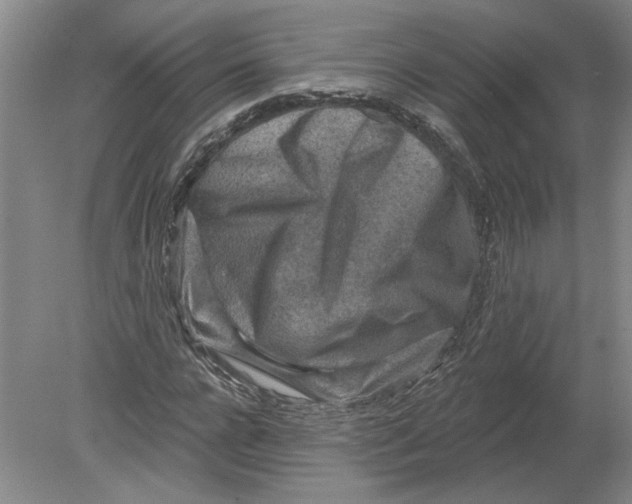 X0000080200920200612302334