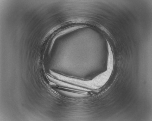 X0000080200922200612302334