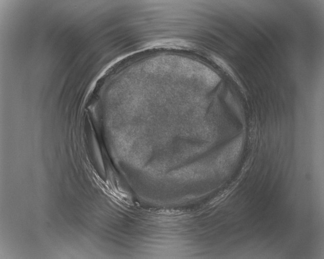 X0000080200923200612302334