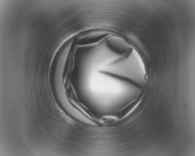 X0000080200924200612302334