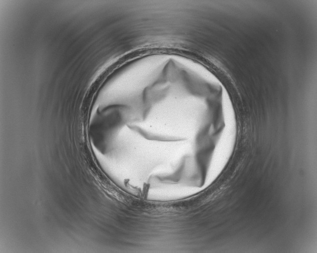 X0000080200925200612302334