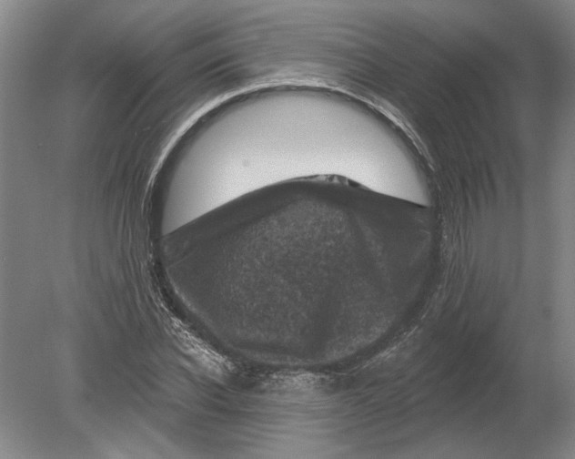 X0000080200926200612302334