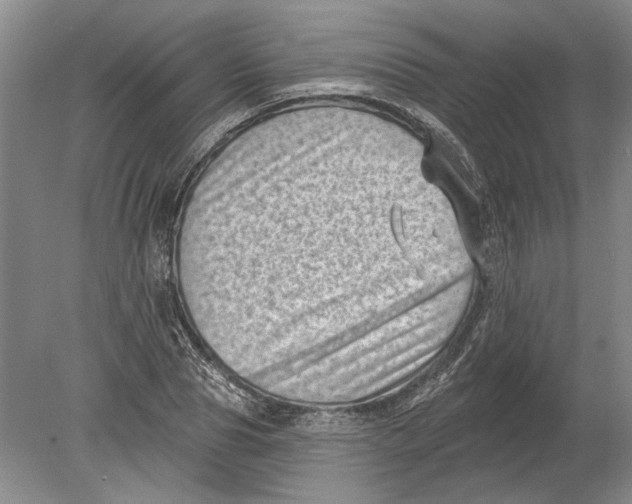 X0000080200929200612302334