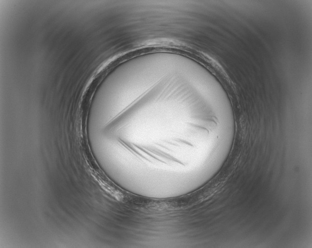 X0000080200931200612302334