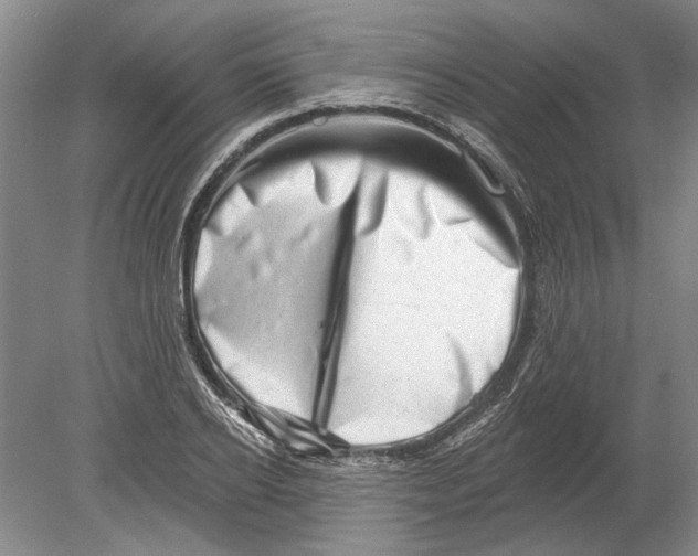 X0000080200934200612302334