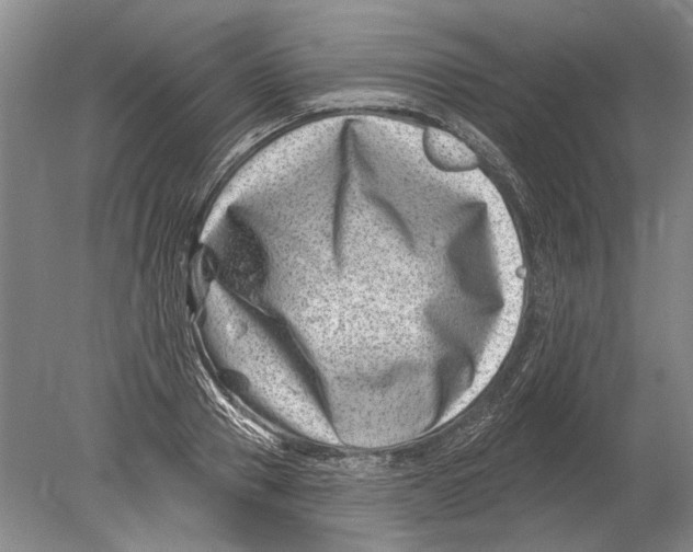 X0000080200937200612302334