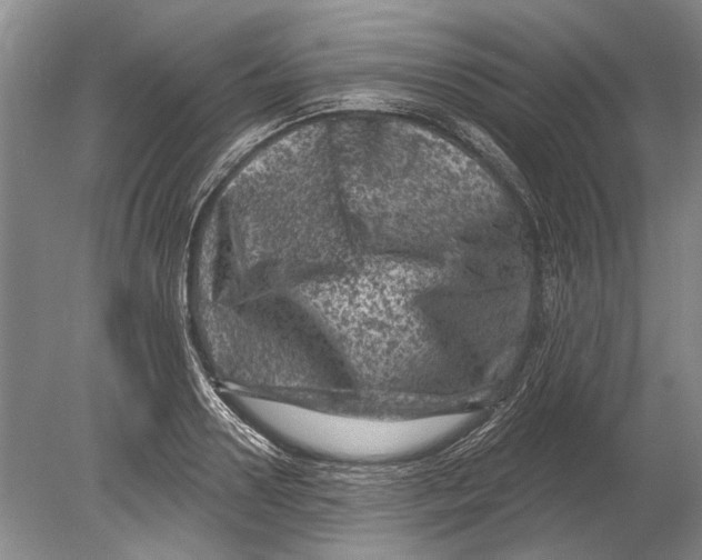 X0000080200938200612302334