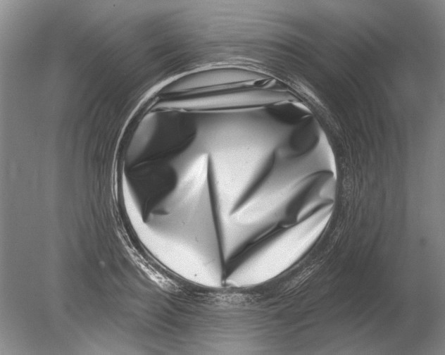 X0000080200940200612302334