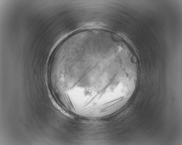 X0000080200941200612302334