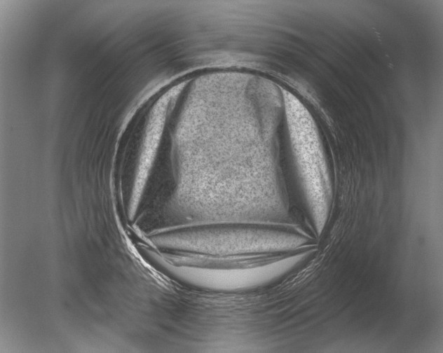 X0000080200943200612302334