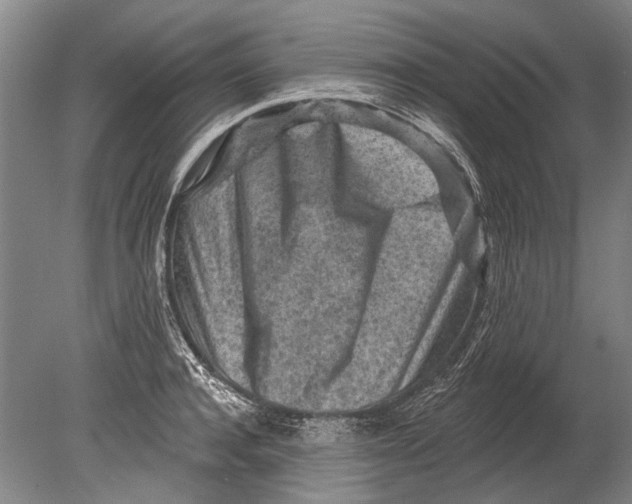 X0000080200944200612302334