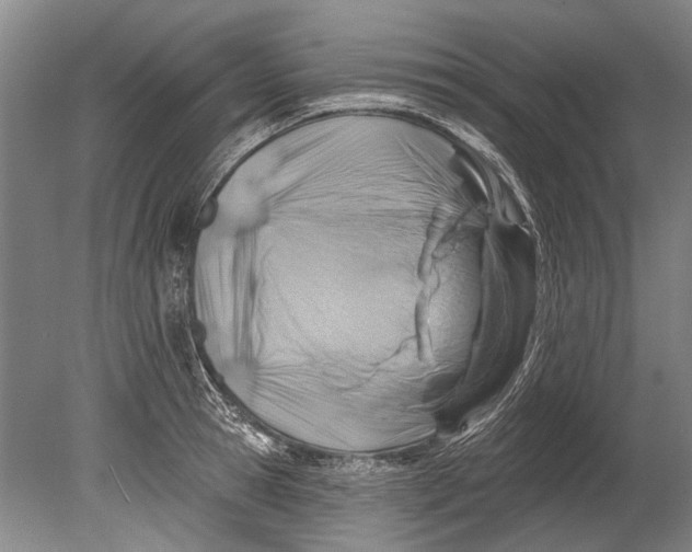 X0000080200945200612302334