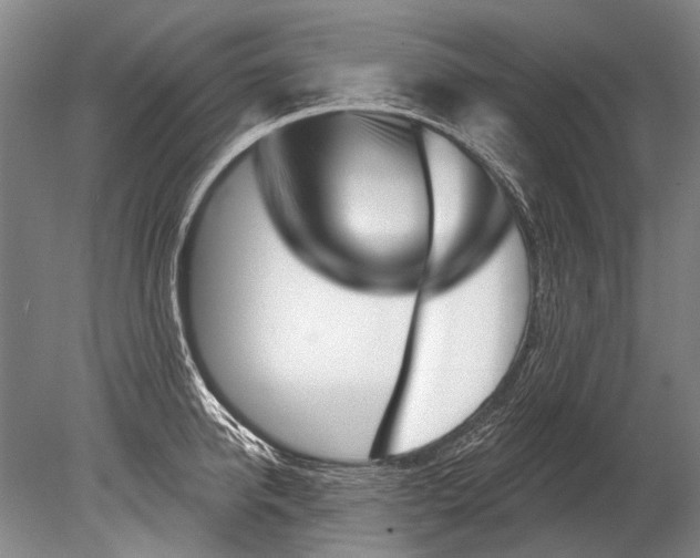 X0000080200950200612302334