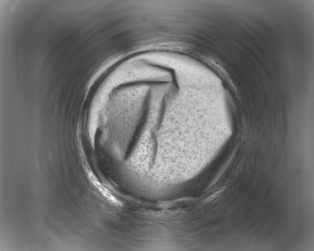 X0000080200952200612302334