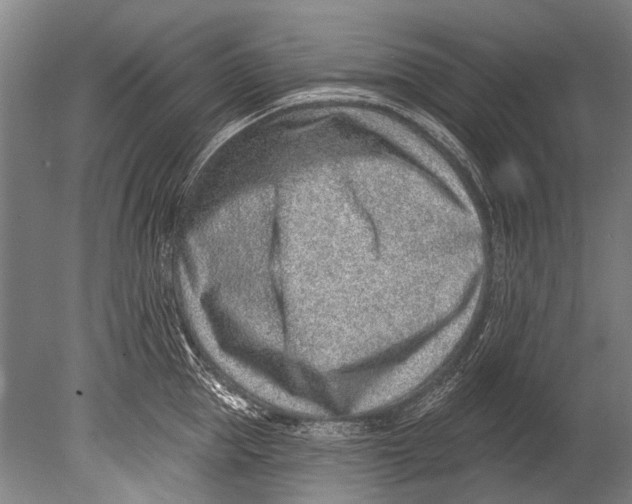 X0000080200953200612302334