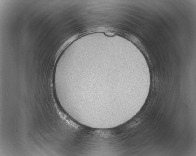 X0000080200954200612302334