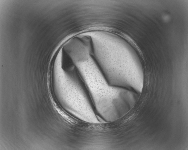 X0000080200955200612302334