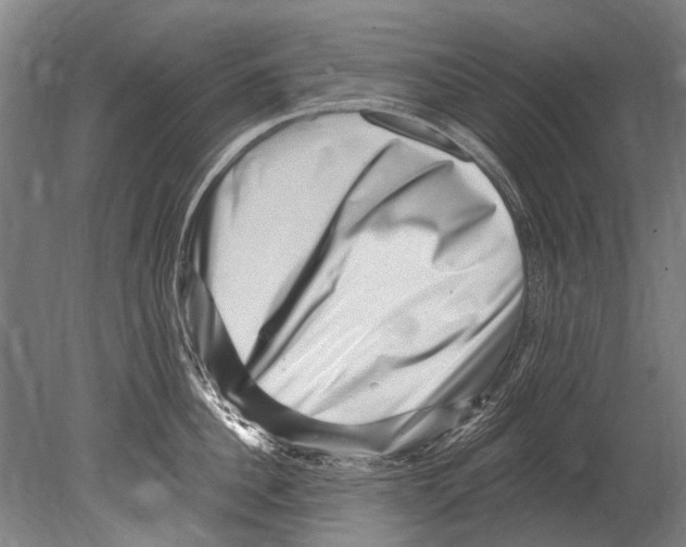 X0000080200956200612302334