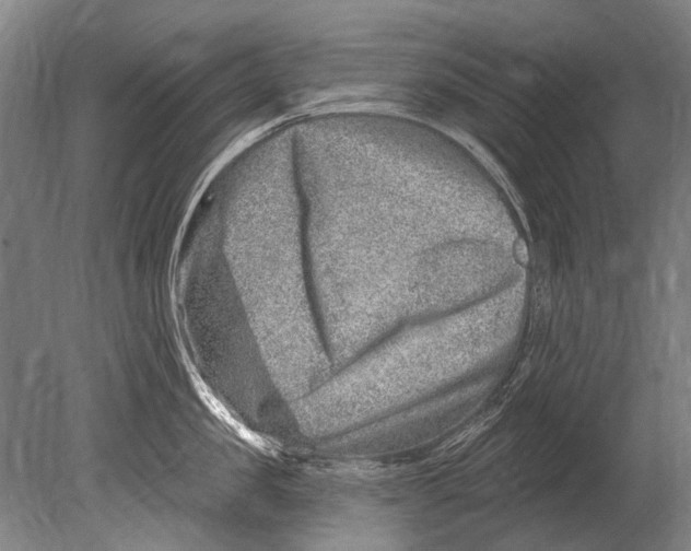 X0000080200957200612302334