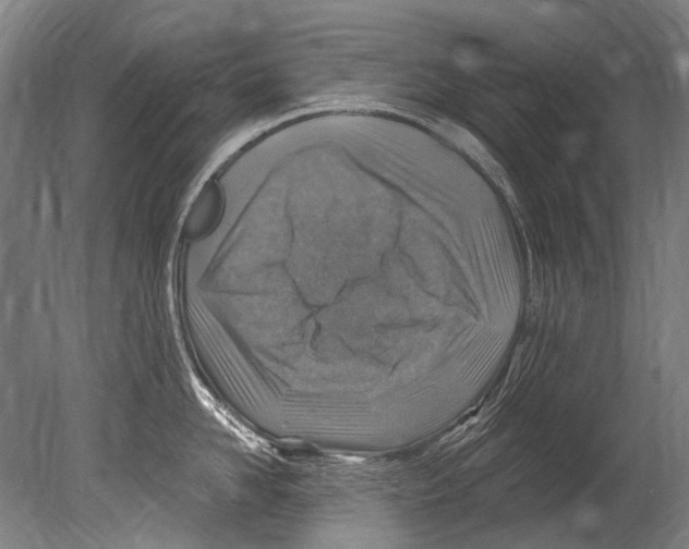 X0000080200958200612302334