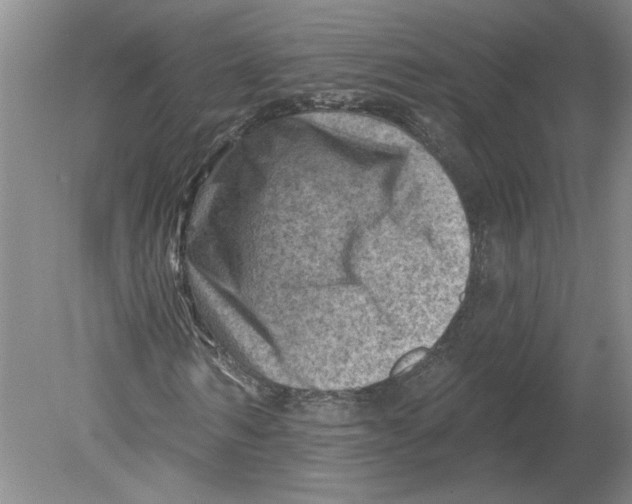 X0000080200962200612302333