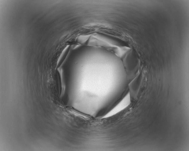 X0000080200965200612302333