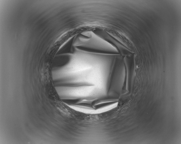 X0000080200968200612302333