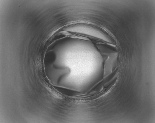 X0000080200969200612302333