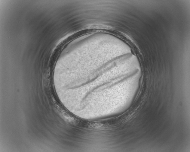 X0000080200971200612302333