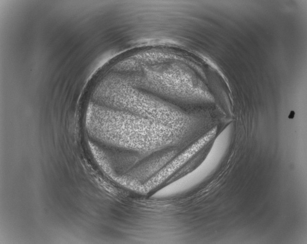 X0000080200975200612302333