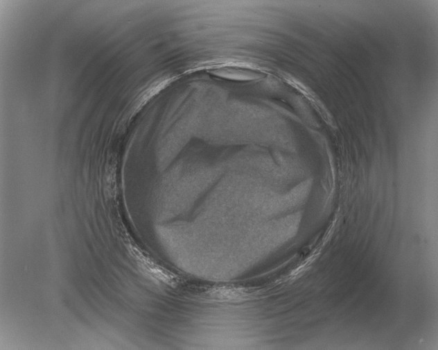 X0000080200977200612302333