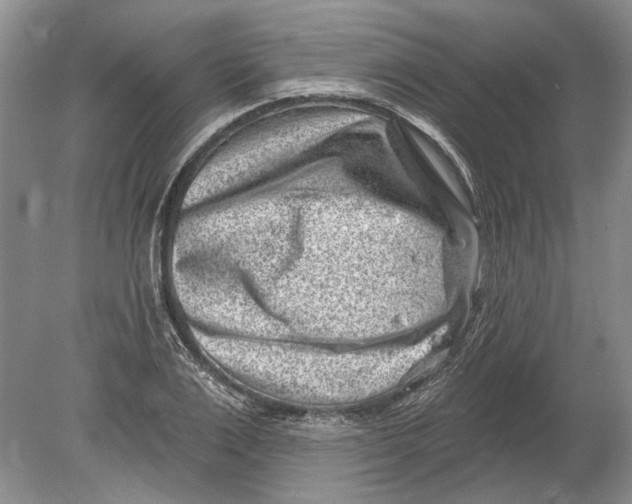 X0000080200983200612302333