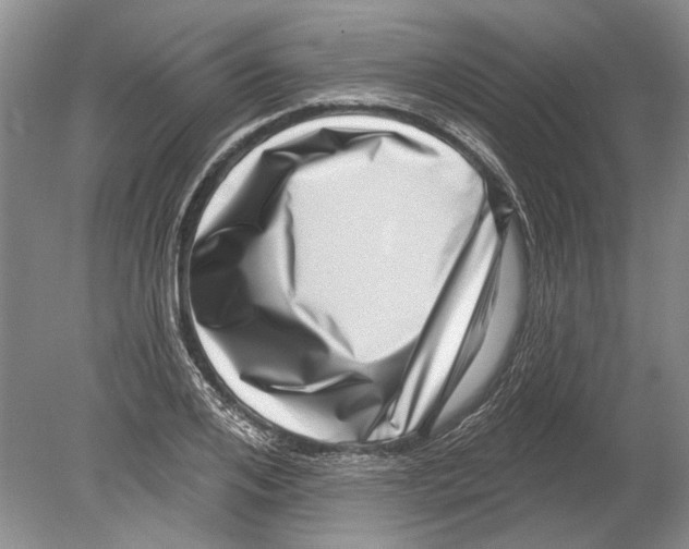 X0000080200984200612302333