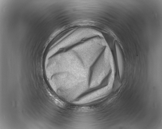 X0000080200986200612302333