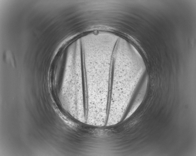 X0000080200987200612302333