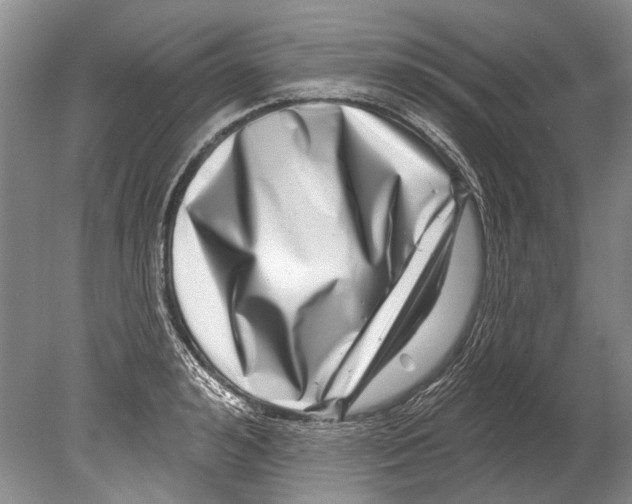 X0000080200992200612302333