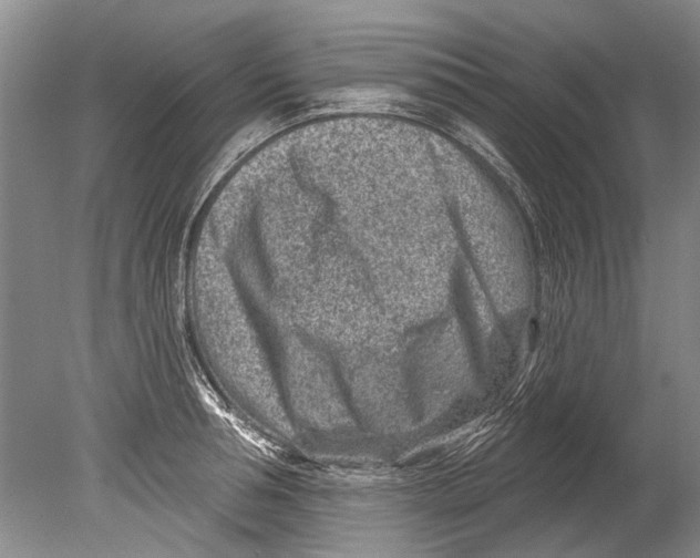 X0000080200994200612302333