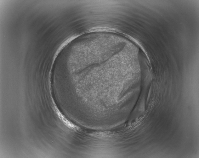 X0000080200995200612302333