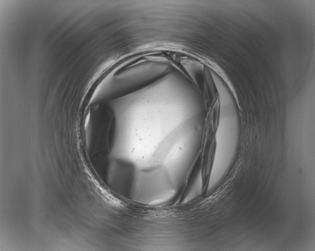 X0000080200997200612302333