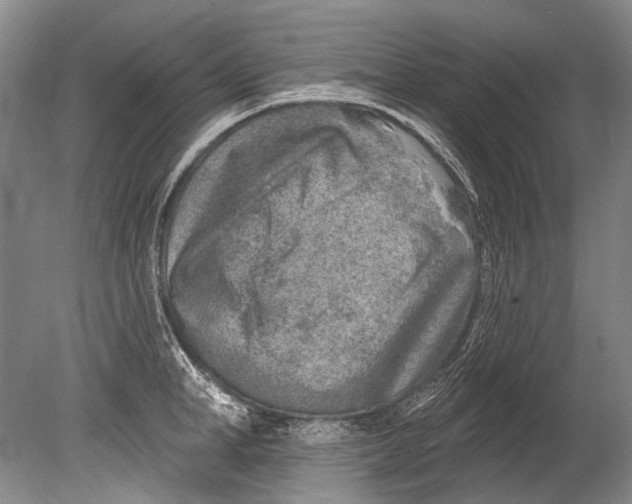 X0000080200998200612302333