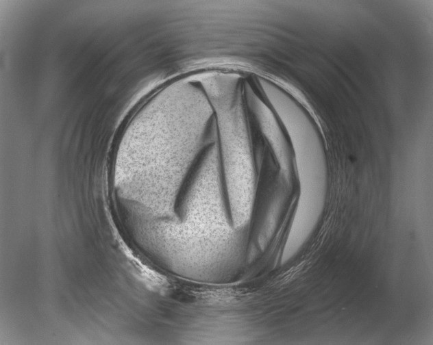 X0000080200999200612302333