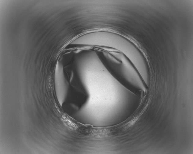 X0000080201001200612302333