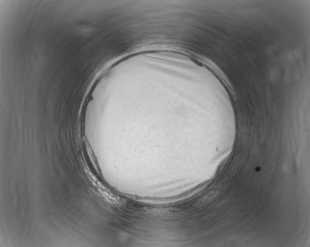 X0000080201004200612302333