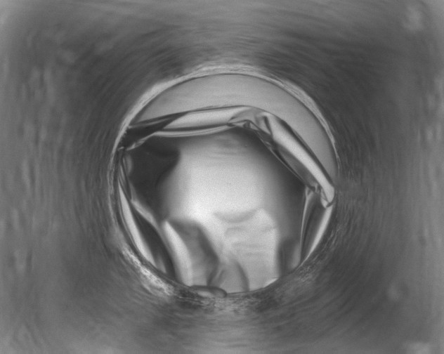 X0000080201005200612302333