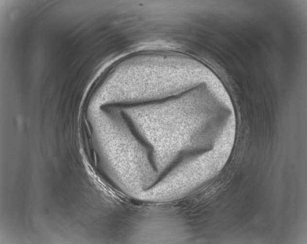 X0000080201008200612302333