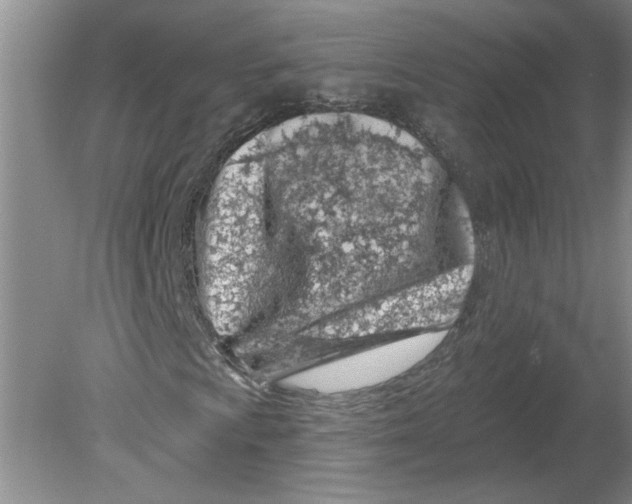 X0000080201009200612302332